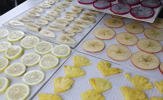 BPA-Free Silicone Dehydrator Sheet for Dehydrator Tray, 15.5x15.5in 10-pack | Non-stick Dehydrator Tray Liners Help Stop Dried Food From Sticking, Lift Food Intact, and Cut Cleanup Time - Dishwasher Safe