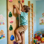 36 PCS Rock Climbing Wall for Kids,Rock Wall Climbing Holds,Adults Climbing Wall Grip Kits Holds Up to 230 lbs for Outdoor Indoor Home Playground Climbing Wall Holds