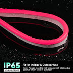 GZBtech Flexible LED Neon Rope Lights 33FT,AC 110-120V Waterproof Strip Light, 120 LEDs/M Cuttable Connectable Neon Lighting for Indoor Outdoor Home Decor/Commercial Building Use-Red 10M