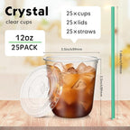 Baderke 25 Set Plastic Cups with Lids and Straws, Disposable Plastic Iced Coffee Cup for Cold Beverage Juice Smoothie Crystal for Coffee Shops Party Catering(Clear,12 oz)