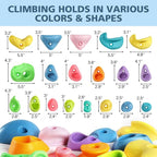 TOPNEW 32Pcs Rock Climbing Holds, Multi Size Climbing Wall Grips for Kids & Adults, Weather Resistant Bouldering Rocks with Hardware, Indoor Outdoor Playground DIY Rock Wall Holds, Ideal