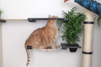 CatastrophiCreations Mini Garden - Multiple-Level Cat Hammock & Climbing Activity Center Wall-Mounted Cat Tree Shelves English Chestnut/Charcoal