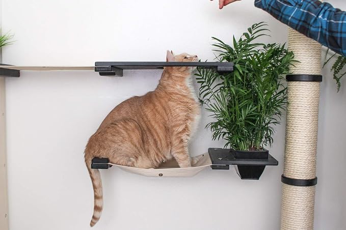 CatastrophiCreations Mini-Garden - Multiple-Level Cat Hammock & Climbing Activity Center - Wall-Mounted Cat Tree Shelves Natural/Charcoal, Natural Bamboo/Charcoal Gray Canvas, MGD11NACH