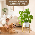 LASZOLA Bamboo Adjustable Plant Stand for Single Large Indoor Planters, Heavy Duty Floor Fern Holder Fits 8 to 12 Inch Pots, Mid Century Elevated Big Stool for Flower– Pot Not Included, Walnut, 1 Pack