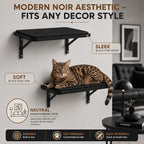 Cat Wall Shelves Set of 2, Black Solid Wood Window Perches with Sisal Mats | Removable Black Sisal Mats, Wall-Mounted Cat Furniture for Climbing, Scratching and Lounging, 16.6 x 9.7 Inch