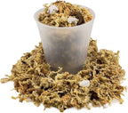 Gardenera Premium PHALAENOPSIS Imperial Orchid Potting Mix - Hand Mixed in Small Batches | Great for Phalaenopsis of All Kinds - 4 Quart Bag