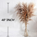 40" inch 10 Stems Pampas Grass Decor Tall, Pampas Grass Bouquet, Natural Dried Flowers for Wedding, Natural Home Decor, Wall Grass, Glam Decor
