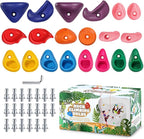 TOPNEW 20PCS Rock Climbing Holds for Kids, Climbing Rocks for Play Set, Swingset - Adult Rock Wall Holds with Mounting Hardware for Indoor Outdoor, Bright Color