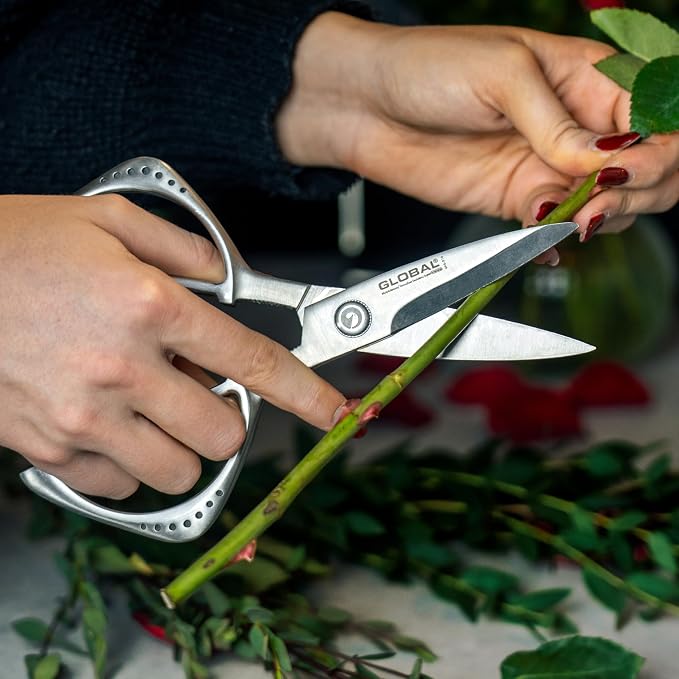 Global cutlery-shears, Stainless