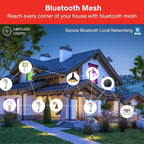 Sengled Smart Edison Bulbs, S1 Auto Pairing with Alexa Devices, Vintage Smart Light Bulbs That Work with Alexa, Bluetooth Mesh Smart Home Lighting, ST19 Led Bulb 60 Watt Equivalent, 2000K E26, 4-Pack