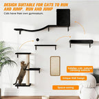 5 Pcs Wall-Mounted Climber Set, Wood Indoor with Shelves and Perches, Ladder, Condo House, Scratching Board and Tree, Wall Shelves Furniture for Cats (Black)