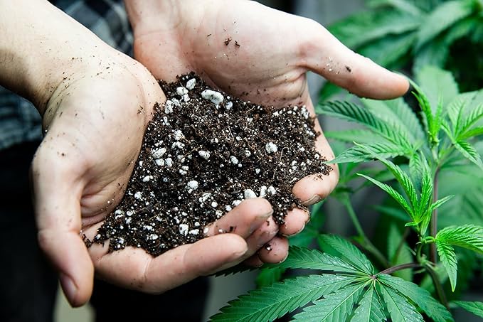 Gardenera Organic Autoflower Plants Potting Soil Mix - Perfect Balance of Nutrients, Drainage, and Aeration for Thriving Autoflower Plants- 4 Quart