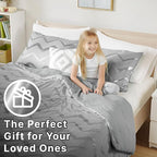 Codi Ziggy Metallic Grey Comforter Set Twin/Twin XL Size, Silver Bedroom Decor for Girls Room, 3 Piece Bedding Sets (2 Matching Sham + 1 Decorative Pillow)