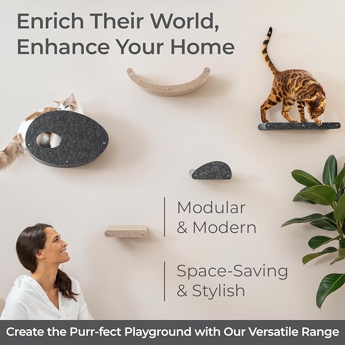 Wall Mounted Cat Perch Long Shelf by Pryde Pets - Floating Hammock Bed, 100% Sustainable PET Felt Feline Enrichment Climber Furniture for Indoor Cats, Modern Climbing Gym Jungle Design (Oatmeal)