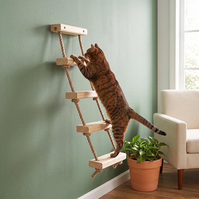 with Shelves for Climbing and Play, Small Jumping Platform
