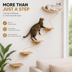 Wall Mounted Cat Steps 2 Pack – Square Wood Cats Shelves with Sisal Mat for Climbing, Jumping & Resting