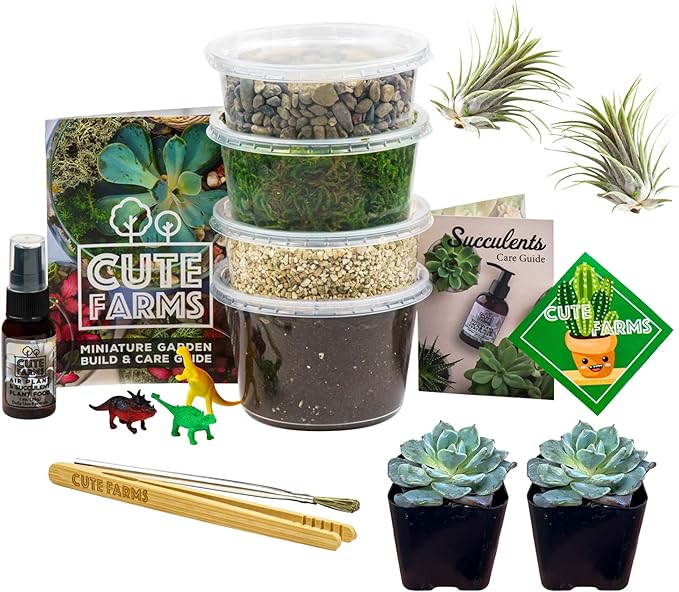 Cute Farms Terrarium Starter Kit | Moss, Vermiculite, Soil, Pebbles, Plant Food, & Finishing Tools (Medium Kit + Live Plants)