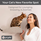 Accessory ADD-ON Long Shelf Facade Covers Compatible with Cat Wall Shelves by Pryde Pets - 100% Sustainable PET Felt - Climber Sold Seperately - Cats Perch Privacy and Safety Bumpers (Oatmeal)