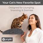 Accessory ADD-ON Long Shelf Facade Covers Compatible with Cat Wall Shelves by Pryde Pets - 100% Sustainable PET Felt - Climber Sold Seperately - Cats Perch Privacy and Safety Bumpers (Charcoal)