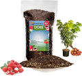 GARDENERA Premium Lychee Potting Soil Mix - Perfect Balance of Nutrients, Drainage, and Aeration for Thriving Lychee Trees - 4 Quart