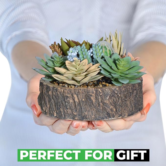 Premium Assorted Artificial Succulent Collection - Large Real Touch Artificial Cactus, Aloe Vera & Succulent Plants Artificial with Pots for Home Office Indoor (Artificial Tree Stump - Pot)