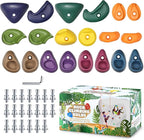 TOPNEW 20PCS Rock Climbing Holds with Mounting Hardware - Climbing Rocks for Indoor/Outdoor Kids Adults Rock Wall, Play Set & Climbing Gym, Dark Color