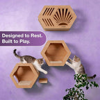 Modern Hexagonal Cat Wall Shelf System, 6-Piece Wood Wall Mounted Cat Furniture with 2 Small Hexagons, 1 Large Hexagon and 3 Climbing Steps, Geometric Cat Shelves
