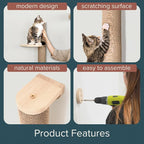 Cat Climbing Wall System – Modern Floating Shelves & Perches for Cats - Sunrise Steps | Ascentials by FurHaven