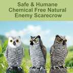 OFFO Bird Scare Devices Plastic Owl Scarecrow for Halloween Decorations Outdoor Garden, Yard, Pool Decoration, 8.3 in Height, Snow Owl