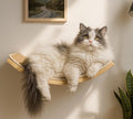 Wood Cat Wall Curved Bed with Sisal Mat, Cats Shelf for Sleeping Scratching | Ergonomic Curved Design, Scratchable Sisal Pad, Wall Mounted