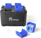 Dexas ice•ology Silicone Clear Ice Maker Tray for Crystal Clear Craft Cocktail Ice, 4 Count Square Cube Tray