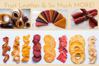 4 Fruit Leather Silicone Dehydrator Sheets with EDGES - NON-Toxic for Nesco Round Dehydrators Lip Mold Hold Batter Liquids Fruit Roll Up Fruit Leather Circle ReUsable Flexible Non Stick