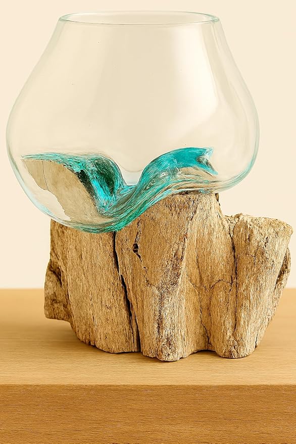OMA Molten Glass on Driftwood – Hand Blown Vase, Terrarium, or Planter for Coastal & Boho Home Décor Centerpieces (6" - 7" High)