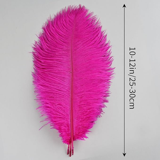THARAHT Hot Pink Ostrich Feathers 12pcs Natural Bulk 10-12Inch 25cm-30cm for Crafts Wedding Party Centerpieces Easter Gatsbi and Home Decoration Feathers