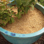 Gardenera Natural Rice Hulls - Eco-Friendly Mulch and Soil Amendment for House Plants and Chicken Bedding - 1 Quart