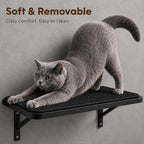 Cat Wall Shelves Set of 2, Black Solid Wood Window Perches with Sisal Mats | Removable Black Sisal Mats, Wall-Mounted Cat Furniture for Climbing, Scratching and Lounging, 16.6 x 9.7 Inch