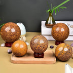 JIC Gem Real Natural Gemstone Sphere Jade Crystal Ball Mineral Quartz Stone with Decorative Stand Home Decoration (60-70mm)