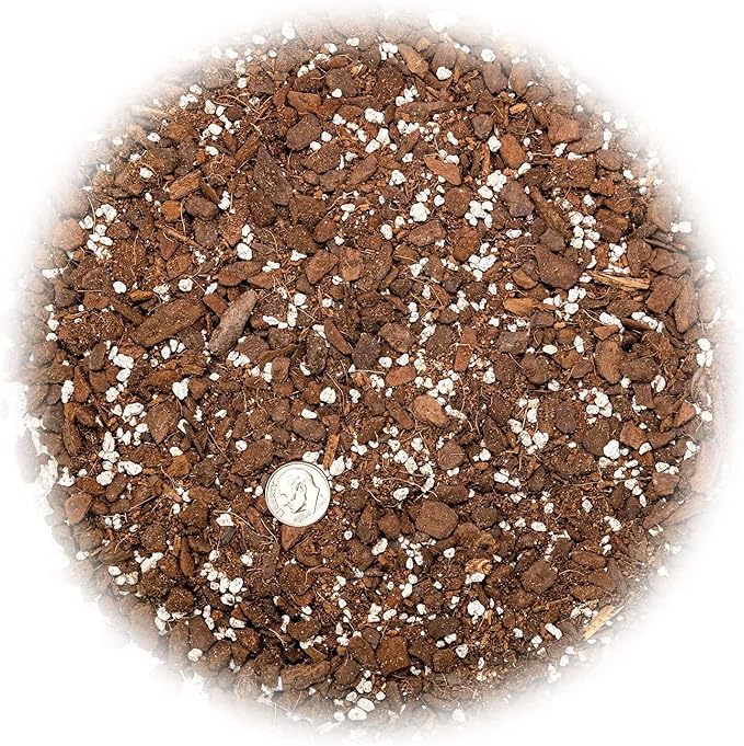 Premium Monstera Borsigiana Potting Mix - Retains Moisture and Promotes Root Growth by Gardenera - 5 Quart