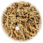 Premium New Zealand Sphagnum Moss by Gardenera - Organic Hand Mixed Long Fibered Sphagnum Moss Orchid - 5 Quart