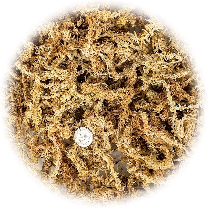 Premium Grade Sphagnum Moss by Gardenera - Organic Hand Mixed New Zealand Long Fibered Sphagnum Moss Orchid - 1 Quart