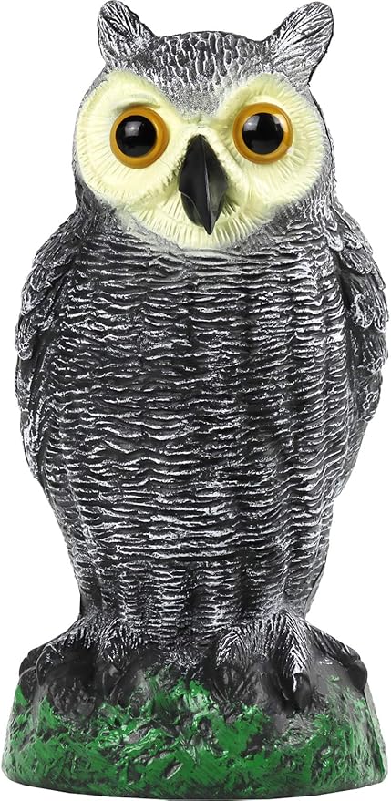 Galashield Owl Decoy to Scare Birds Away | Plastic Owls to Scare Birds Away | Owl Statue for Garden & Outdoors