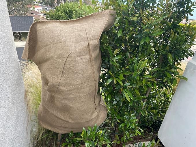 Burlap Bags 22" x 36" - Great for Planting/Gardening - Kids Sack Bag - Plant Covers - Food Grade - Sacks Burlap by Sandbaggy (Pack of 50)