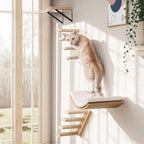 Cat Wall Stairs and Wall Shelves, 4 Piece Wood Cats Furniture Set, Padded Curved Bed with Foam, Flat Shelf & Climbing 4 Steps Stairs for Large Indoor Cats