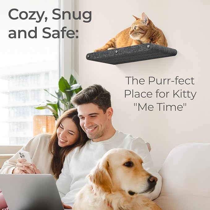 Wall Mounted Cat Perch Long Shelf by Pryde Pets - Floating Hammock Bed, 100% Sustainable PET Felt Feline Enrichment Climber Furniture for Indoor Cats, Modern Climbing Gym Jungle Design (Charcoal)