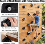 ZENFUN 18 Pc Rock Climbing Holds, Indoor & Outdoor Rocks Wall Climbing Kit, Black Rock Climb Holds Playground Play Set, Multi-Shape Climbing Rock Wall Grips with Mounting Hardware