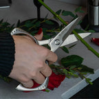 Global cutlery-shears, Stainless