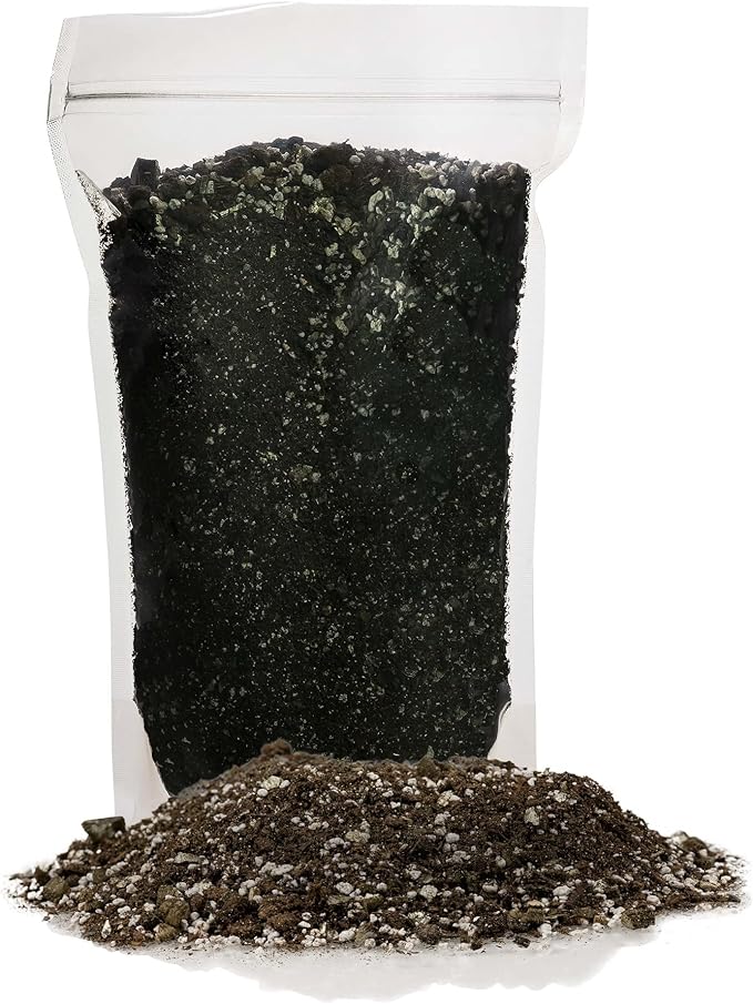 Premium African Violets and Gesneriad Premium Soil Mix by Gardenera - 10 Quart - Horticultural Perlite, Vermiculite, Sphagnum Peat Moss - Made in USA - (2 Bags of 5QT)