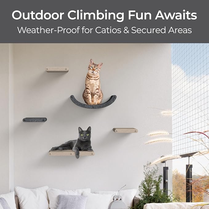 Wall Mounted Cat Perch Long Shelf by Pryde Pets - Floating Hammock Bed, 100% Sustainable PET Felt Feline Enrichment Climber Furniture for Indoor Cats, Modern Climbing Gym Jungle Design (Oatmeal)