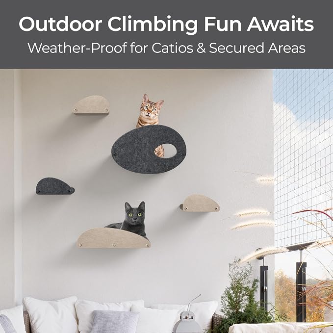 Accessory ADD-ON Curved Shelf Facade Covers Compatible with Cat Wall Shelves by Pryde Pets - 100% Sustainable PET Felt - Climber Sold Seperately - Cats Hammock Privacy and Safety Bumpers (Oatmeal)