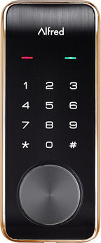 Alfred Touchscreen Keypad Pin + Key Entry Smart Door Lock Combo with Wi-Fi Connect Bridge & Key (DB2W-B-GL)